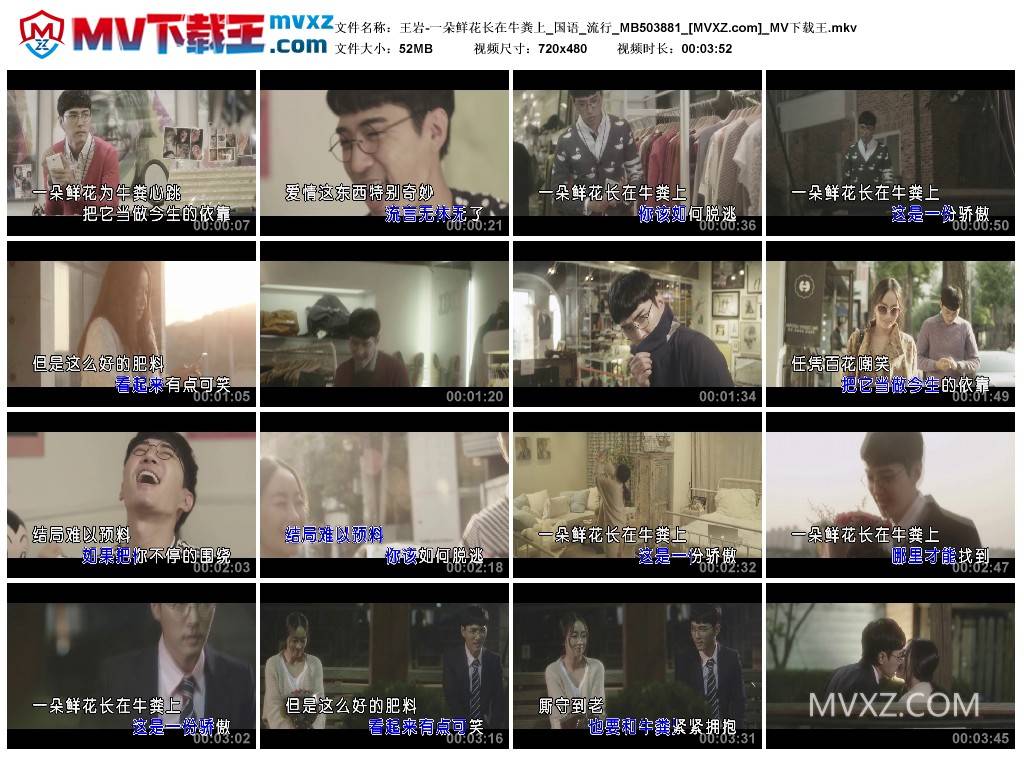 王岩-一朵鲜花长在牛粪上_国语_流行_MB503881